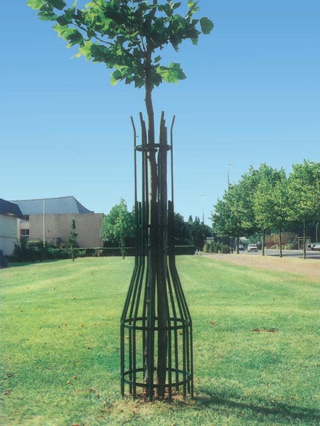 protezioni-in-metallo-per-alberi-parma-bologna protezioni-in-metallo-per-alberi-parma-bologna